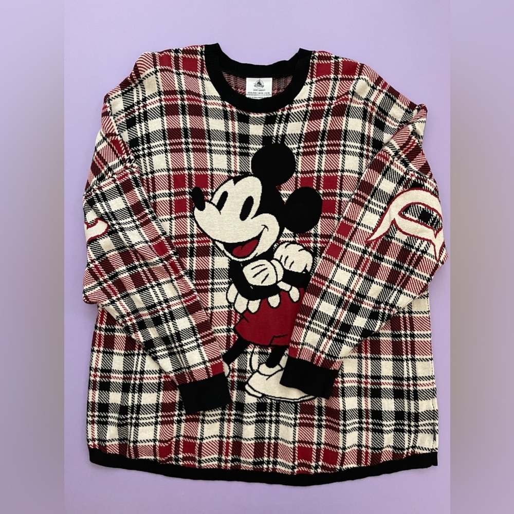 disneyland sweater spirit jersey